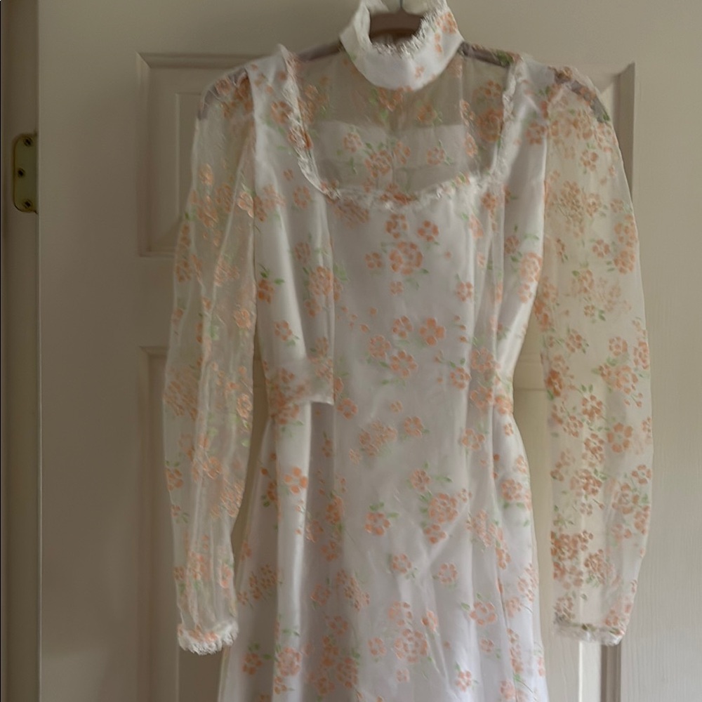 Vintage Floral Sheer Long Sleeve Dress
